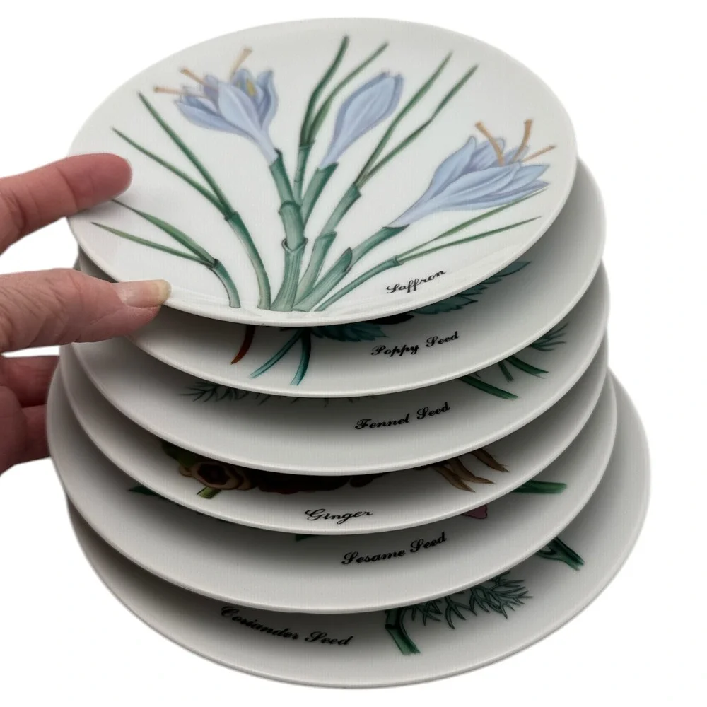 6 NEIMAN MARCUS HORCHOW BOTANICAL FLOWER HERB PLATES DESSERT SALAD
